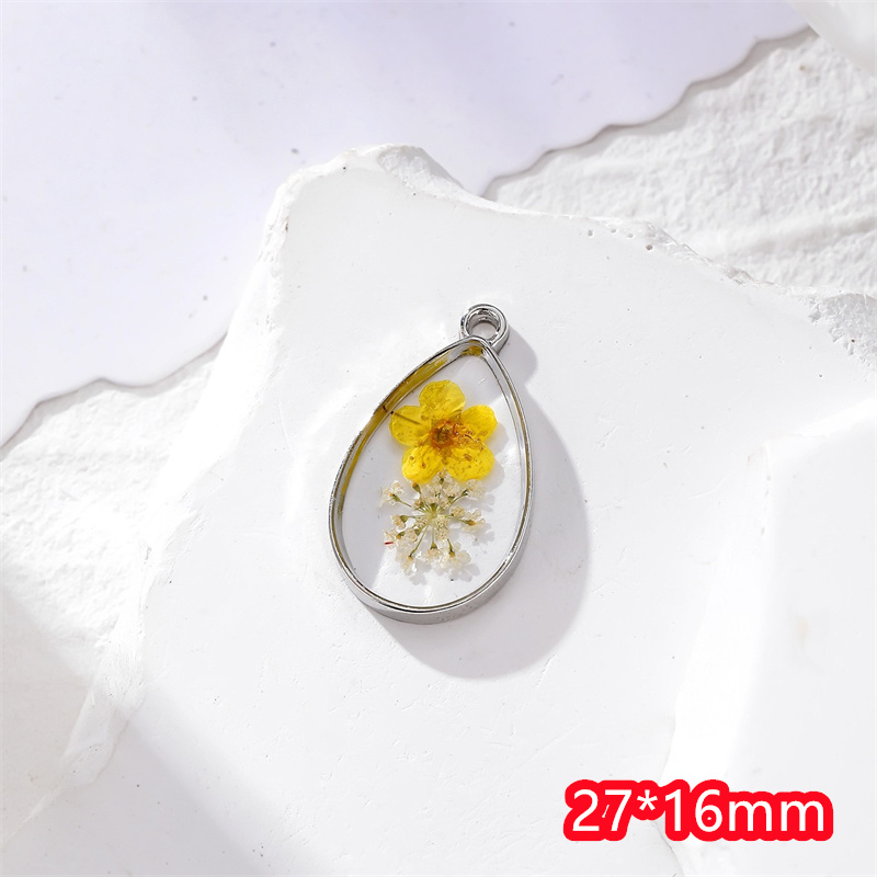 最新 30 ピース/ロットカラー天然ドライフラワーコアジオメ - Men Accessories Locket のレビューと価格